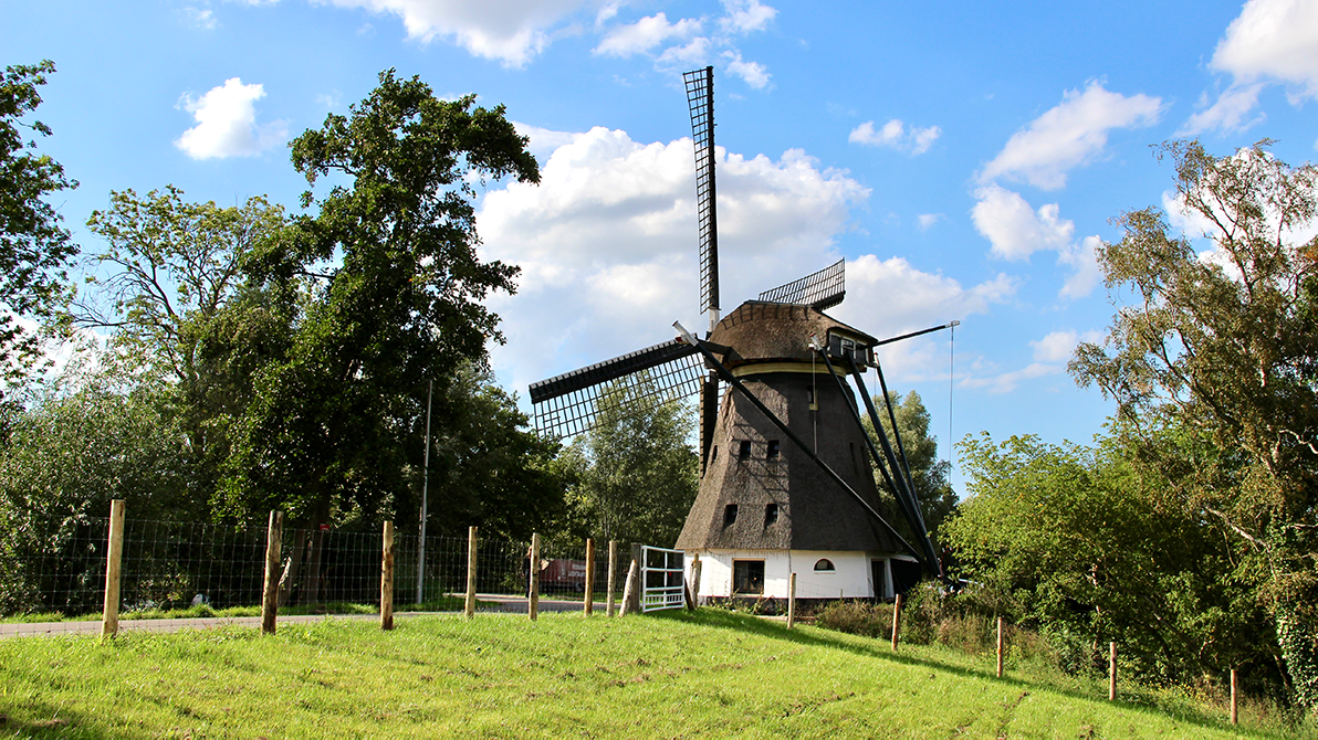 Apotheek Groen Nieuw Oosteinde