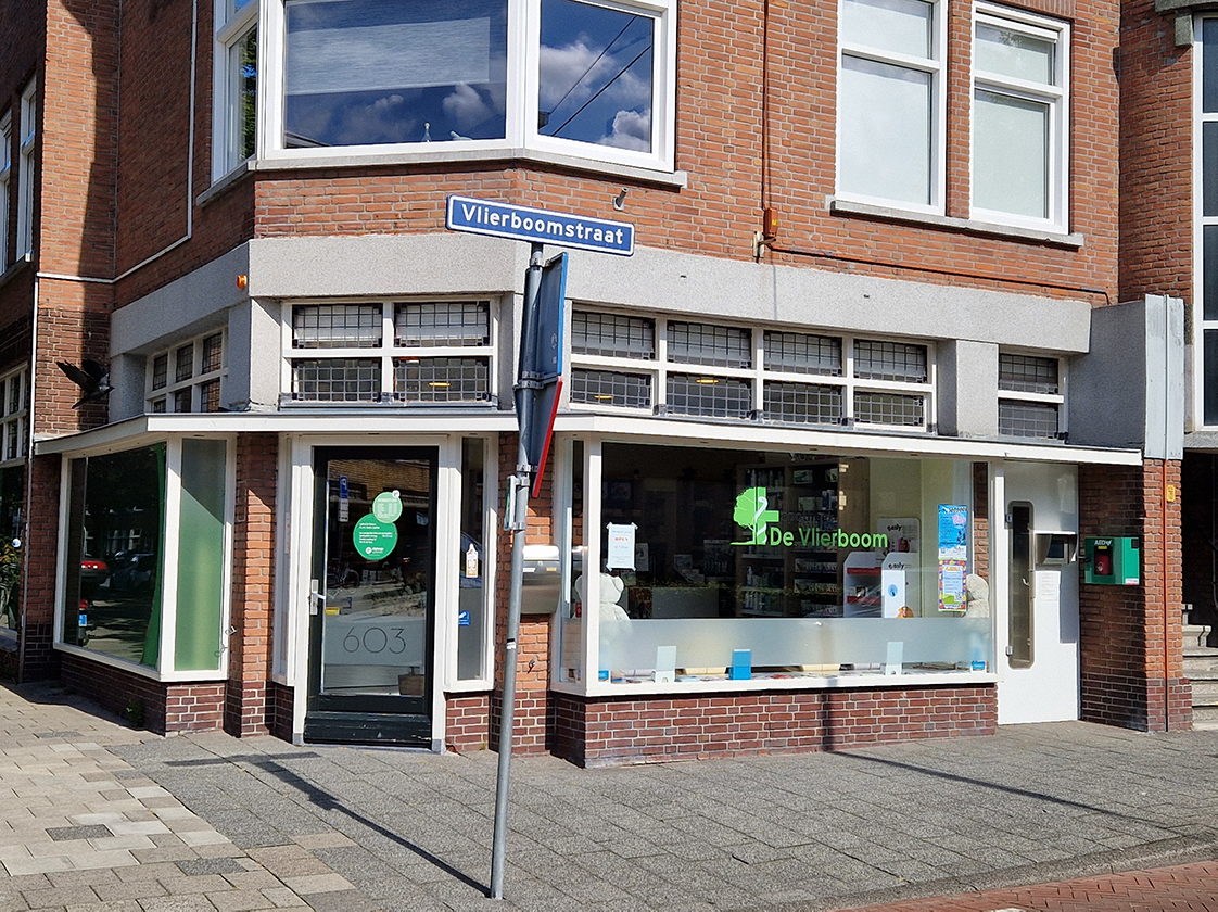 Vlierboom