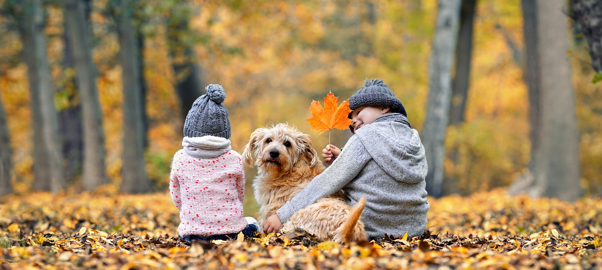 Herfstchecklist